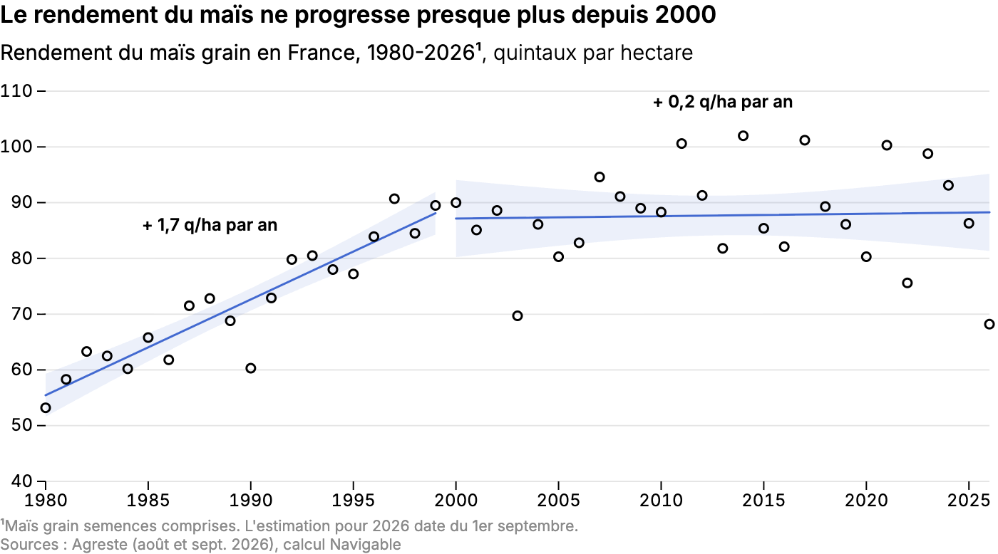 Le rendement du maïs ne progresse presque plus depuis 2000