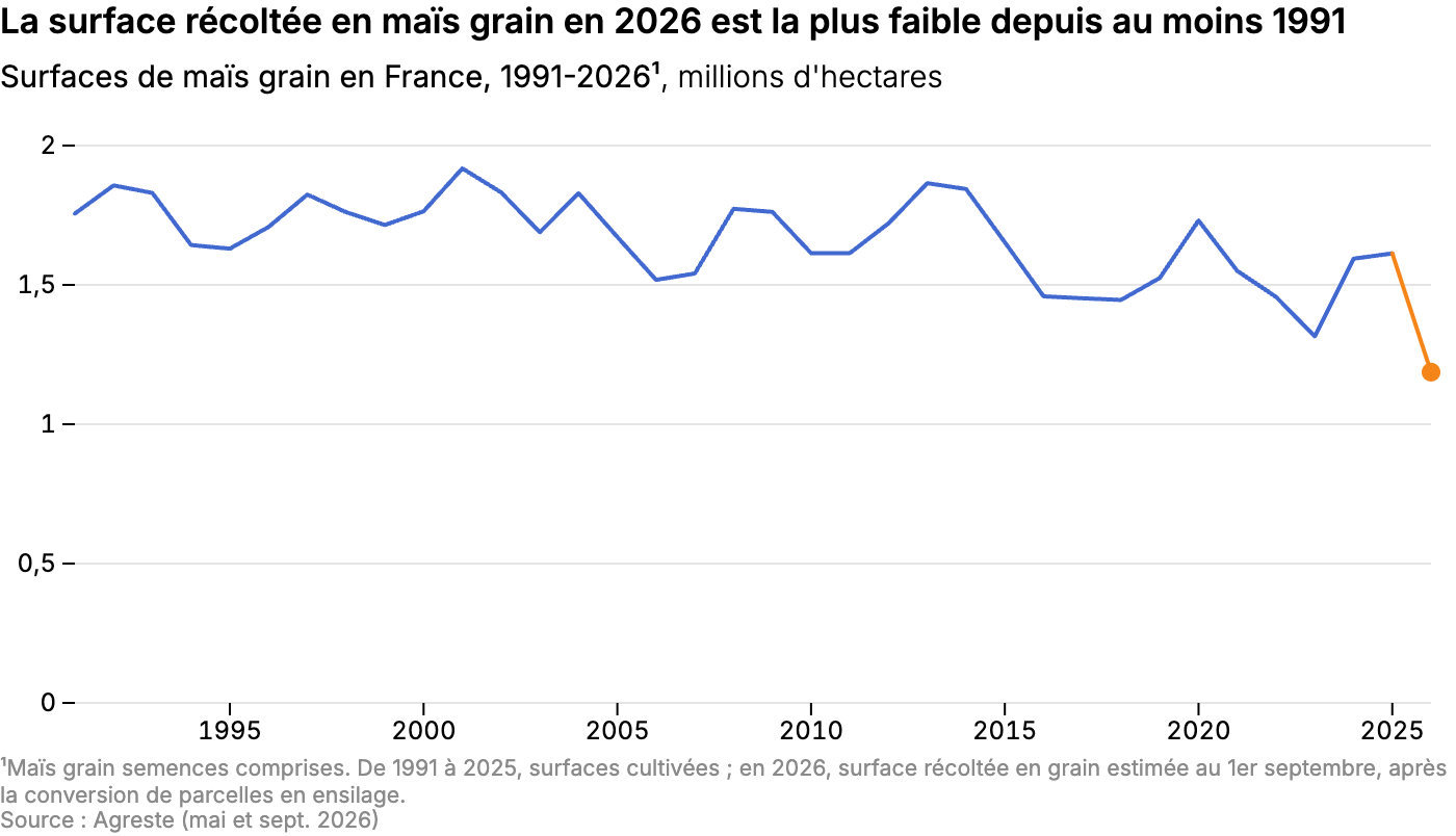 La surface récoltée en maïs grain en 2026 est la plus faible depuis au moins 1991